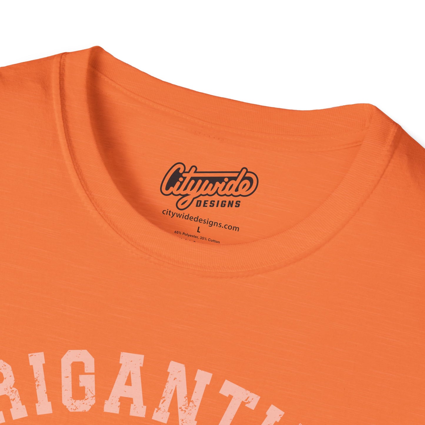 Brigantine Heart New Jersey, Arched Varsity Text T-Shirt